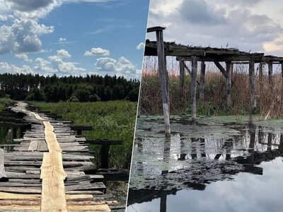 Де в Україні стоїть столітній дерев'яний міст завдовжки у кілька футбольних полів