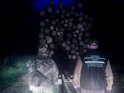 Віз соснові колоди без документів: на Рівненщині зупинили ЗІЛ із нелегальним лісом