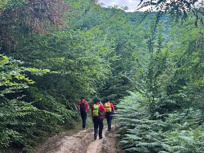 На Закарпатті відучора шукають зниклого підлітка — PMG.ua