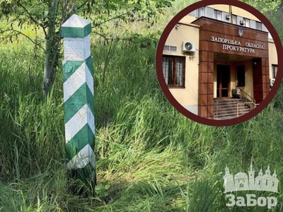 У Запорізькій області державі повернули 15 ділянок лісу вартістю понад 6 млн грн