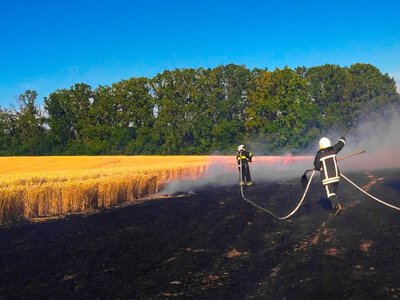 На Вінниччині сталося десять пожеж - горіло і в будинку і в полі