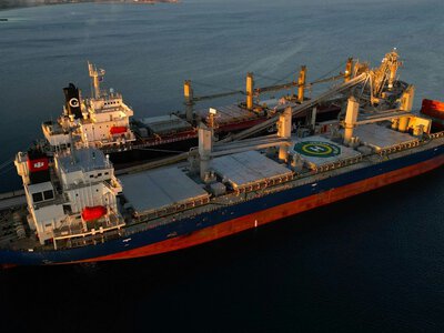 Українські птахи б'ють боляче: Росія терміново шукає нові шляхи експорту зерна