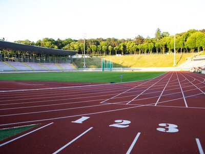 Львівські легкоатлети виграли 12 медалей чемпіонату України