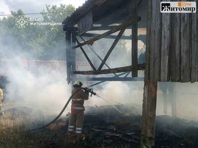 У Сингаях жінка обпеклася, гасячи підпалену траву