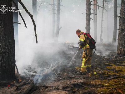 У Чорнобильській зоні спалахнула нова лісова пожежа