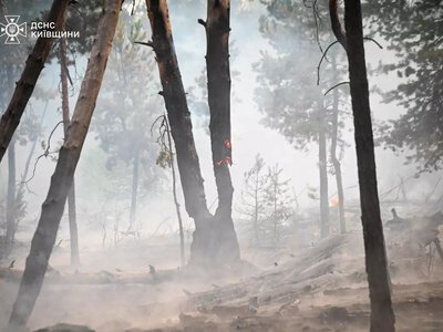 У Чорнобильській зоні відчуження знову спалахнула пожежа: ситуація перебуває під контролем