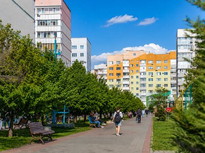Розмітка, ритуальні тарифи та сміттєзвалище: головні події дня на Полтавщині