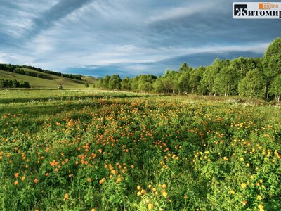 На Житомирщині 15 липня прогріє до 30°