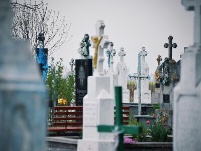 У Чернівцях планують збудувати крематорій: місто шукає інвестора