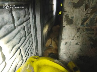 У Кременчуці рятувальники визволили собаку: той застряг між парканом і цегляною спорудою