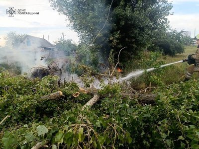 Сильний вітер наробив лиха: у Кременчуці дерево перекрило дорогу, а у Глобиному обірвало дроти й спричинило пожежу