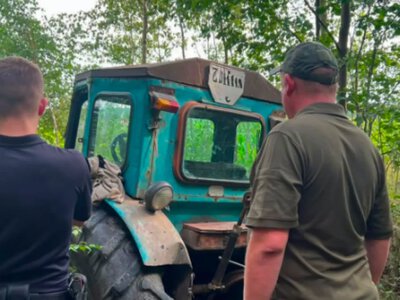 У Буцинському лісництві виявили незаконну рубку дерев на понад 5 мільйонів гривень