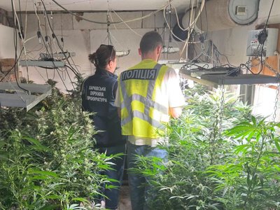 Операція “Джентльмени” на Харківщині: копи вилучили майже 28 кг канабісу