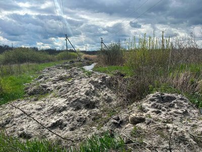 На Полтавщині комунальне підприємство завдало довкіллю понад 500 тис. грн збитків — екоінспекція