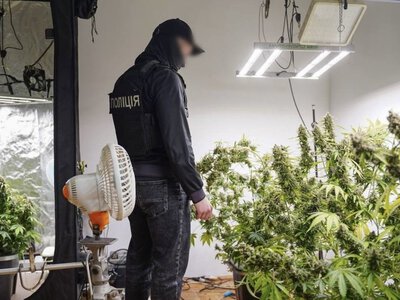 Три нарколабораторії та майже кілограм канабісу: на Закарпатті затримали вісьмох наркоділків (ФОТО, ВІДЕО)