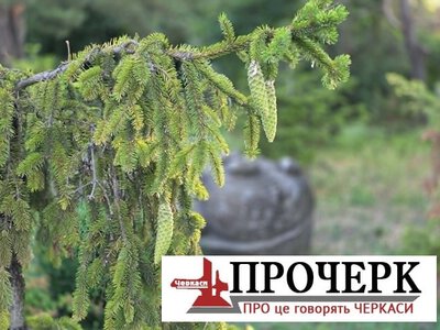 Синоптики розповіли, коли на Черкащину повернуться грози