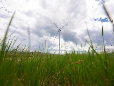 Рекультивація земель після будівництва Нижньоворітської ВЕС: відповідальний підхід до відновлення природи