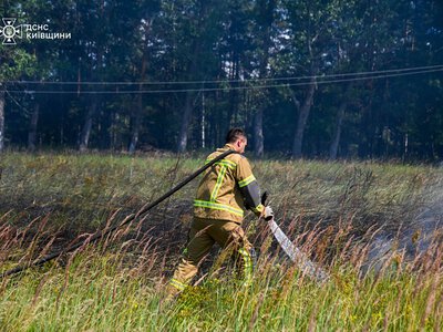 Рятувальники ліквідували пожежу лісової підстилки у Зоні відчуження на Київщині