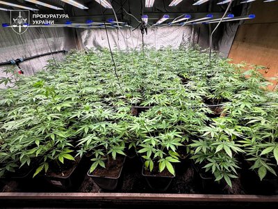 В Україні під час спецоперації ліквідували 12 нарколабораторій та оголосили 74 підозри