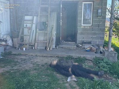 Син через кошенят до смерті забив 79-річну матір