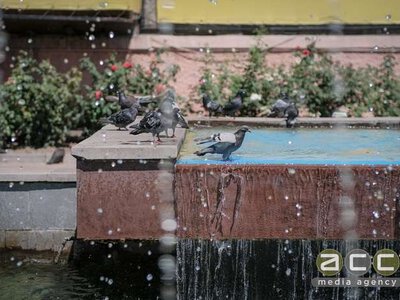 Ясно, вдень - до +28 градусів: прогноз погоди у Чернівцях на 16 липня