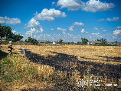 Двоє людей загинули, шість гектарів вигоріли: наслідки атак та пожеж у Миколаївській області за добу