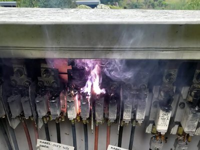 Равлики влаштували вибухи в чеському селі: як це взагалі можливо