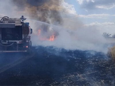Російські обстріли знищили понад 6 тисяч гектарів посівів у Бериславському районі