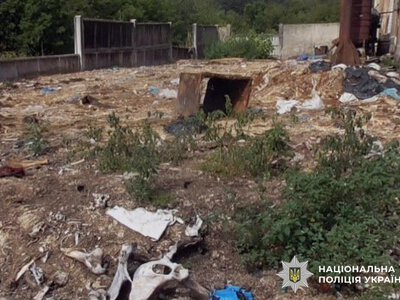 На Рівненщині судитимуть чиновника, який незаконно викидав біовідходи