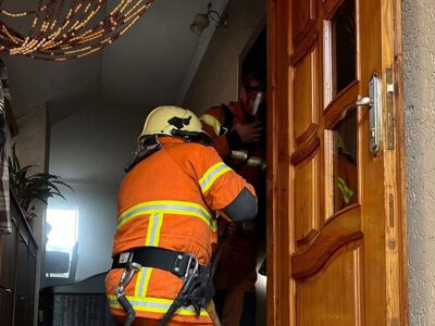 Вогнеборці двох міст гасили пожежу на Мукачівщині — PMG.ua
