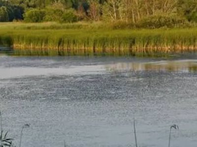 Україна перейшла до практичного виконання екологічних вимог для вступу до ЄС, – Міндовкілля