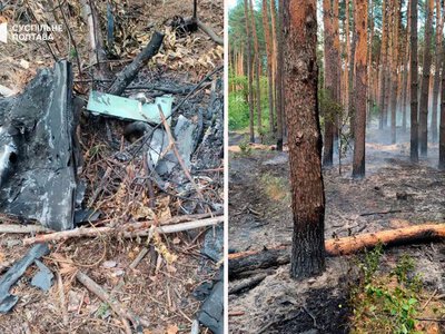 Російський дрон спричинив пожежу в лісі під Кременчуком