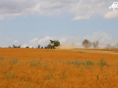 Окупаційна влада Верхнього Рогачика створила спеціальний штаб для збору врожаю - Херсон Daily