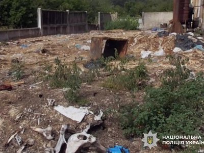 Екскерівника держпідприємства на Рівненщині обвинувачують у забрудненні земель та мільйонних збитках