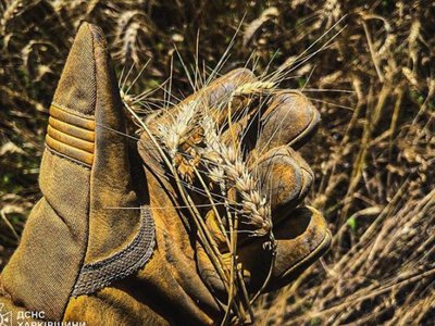 Росіяни били дронами по пшеничних полях Харківщини, сталися пожежі
