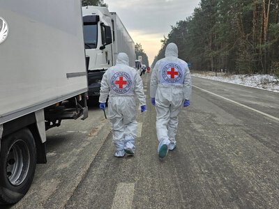 В Україну повернули тіла 501 загиблого, які можуть належати українським захисникам
