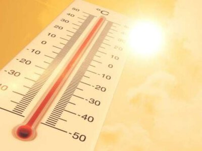 У Нідерландах кажуть, що вплив спеки, ймовірно, спричинив підвищення рівня смертності