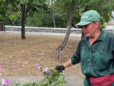 У Миколаєві невідомі знищили квіти на клумбах (відео)