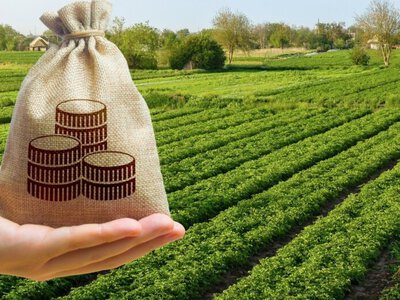 До бюджету Запоріжжя повернули понад 1,6 млн грн за користування землею без договору оренди