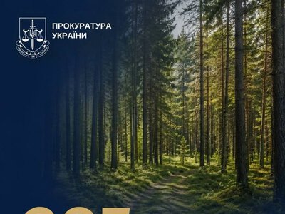 На Київщині державі повернули 385 га лісових земель