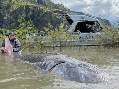 Рибалки зловили осетра завдовжки 3,5 метри: встановлено світовий рекорд