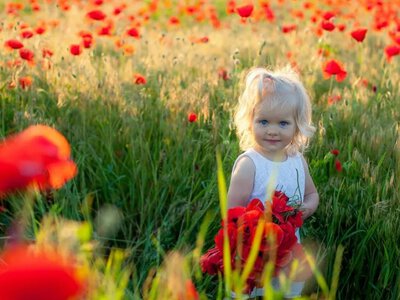 Погода в Україні на 17 липня: де влупить спека до +31°, а де буде +20° 