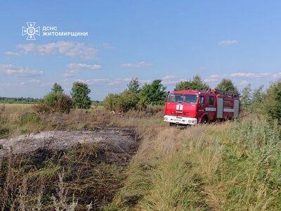За минулу добу рятувальники ліквідували на Житомирщині чотири пожежі сухої рослинності