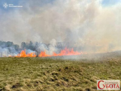 На Житомирщині за добу вигоріло майже 4 гектари сухостою