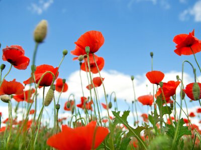 До +33°C і локальні грози: якою буде погода в Україні цими вихідними