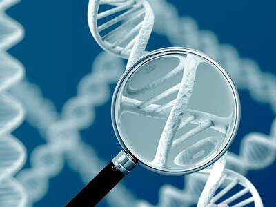 У Рівненській обласній дитячій лікарні відновив роботу медико-генетичний центр