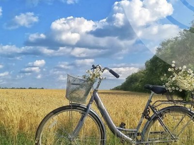 На Рівненщину повертаються дощі: у суботу очікують грози