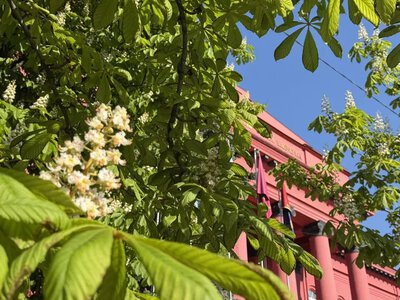 Рейтинг вишів 2026: які увійшли до десятки найкращих
