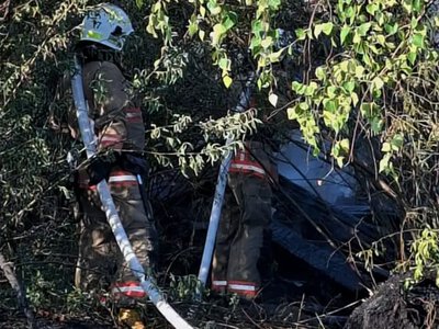 У Ковелі на Богачука горіла суха трава