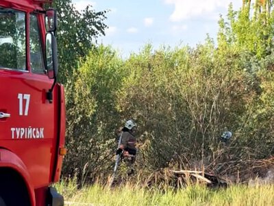 У Турійську горіли суха трава та чагарники